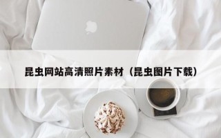 唐山昆虫网站高清照片素材（昆虫图片下载）
